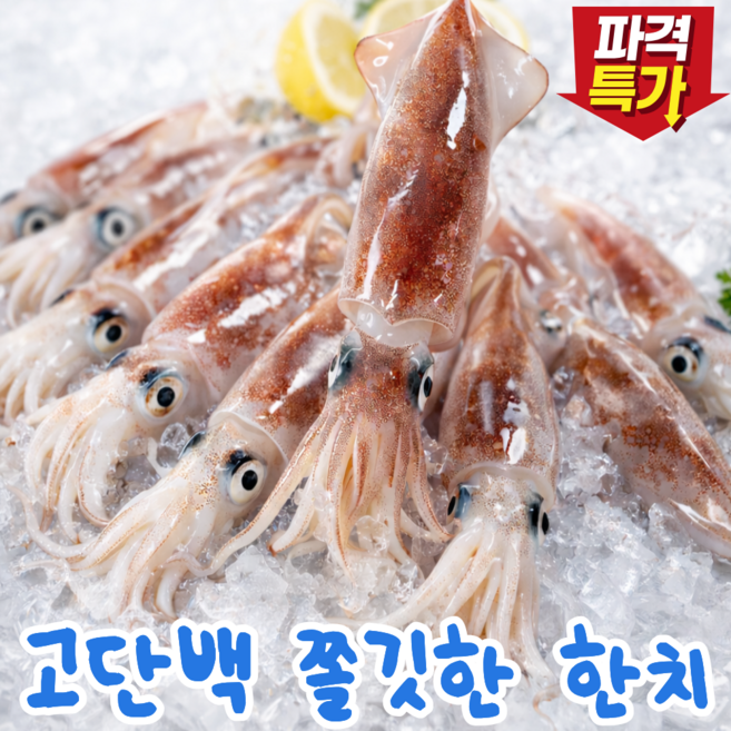 [백화점납품] 특품 자연산 고단백 한치, 1세트, 1kg (24미내외)