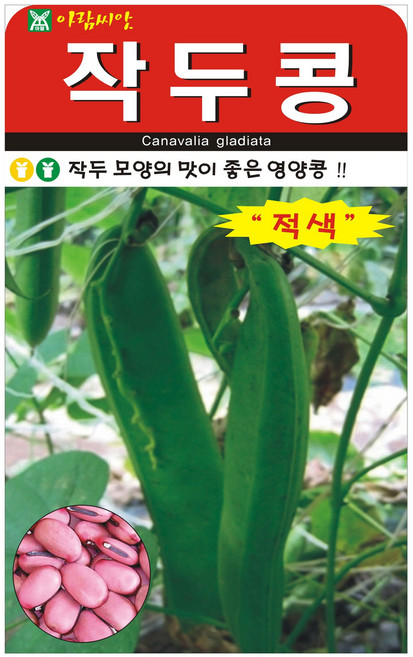 다농 적작두콩 씨앗 5p, 1개