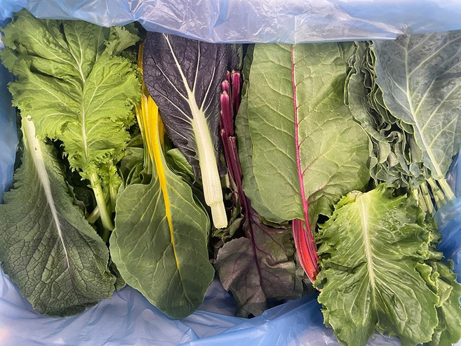 모듬 쌈채소 특 7-10종 2kg 한박스, 1개