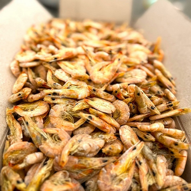 [명화씨푸드] 국내산 햇 건새우 중하새우 1kg, 1개