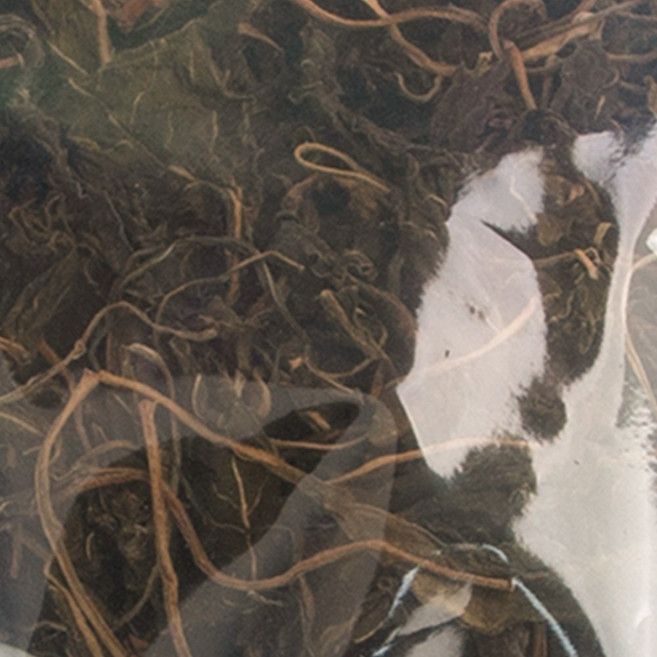 건조 고춧잎 나물무침용 고추잎말린것 1kg, 1개