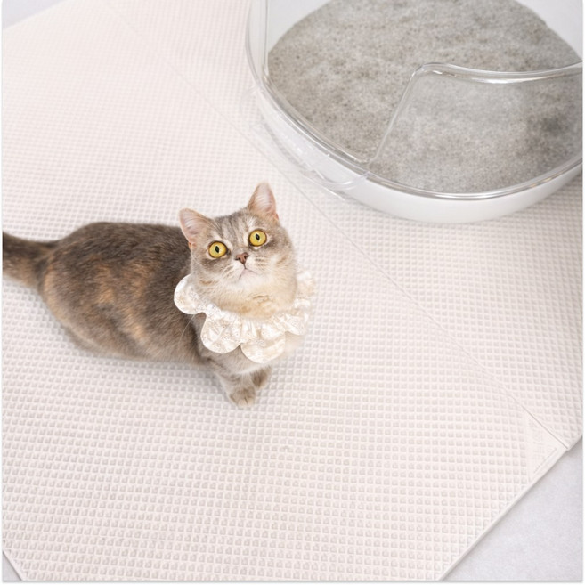 냥쌤 캐치매트 고양이 모래 사막화 방지 매트 화장실 패드, 2개, 롱타입