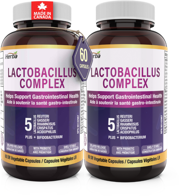 락토바실러스 컴플렉스 유산균 루테리 가세리 비피도박테리움 프리바이오틱스 총 5종 250억 CFU 허바 캐나다, 2개, 60정
