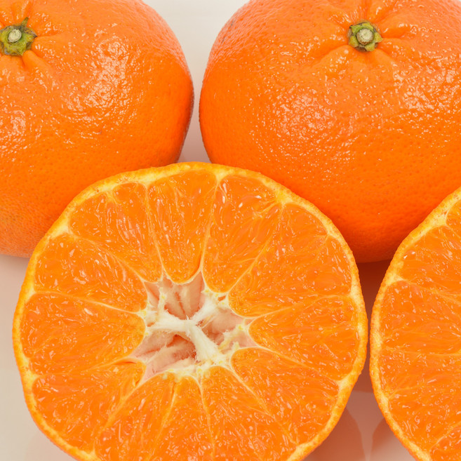 블랙라벨) 프리미엄 고당도 레드향 백화점용 특품 가정용/선물세트, 1박스, 가정용 2kg (7-13과)