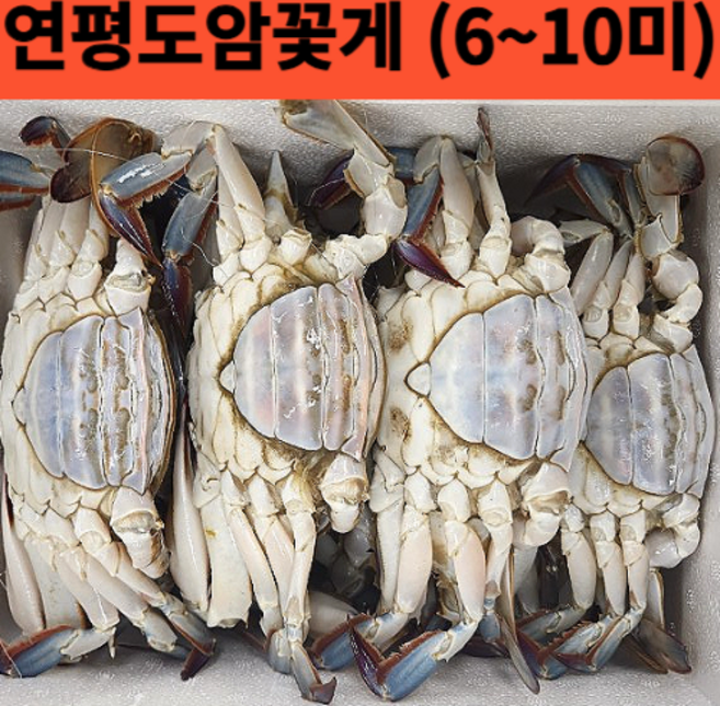 국내산 서해안 급냉 암꽃게 2kg 찜용 탕용 추천 (실속형 가성비), 국내산 냉동 암꽃게2kg, 1개
