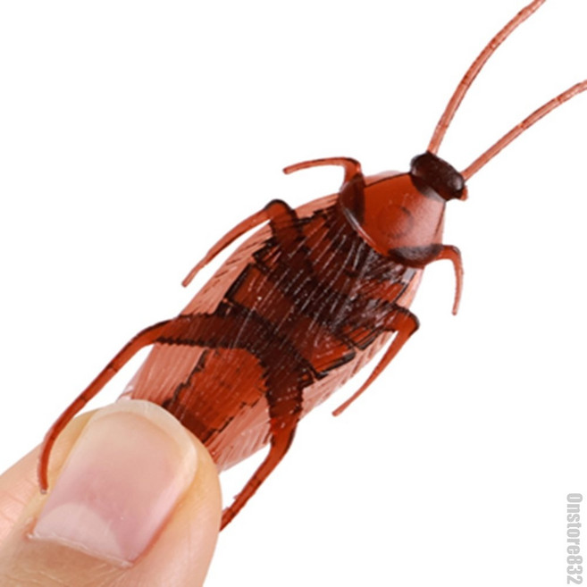 매일발견 가짜바퀴벌레 벌레피규어 가짜벌레 몰래카메라소품 장난감바퀴벌레