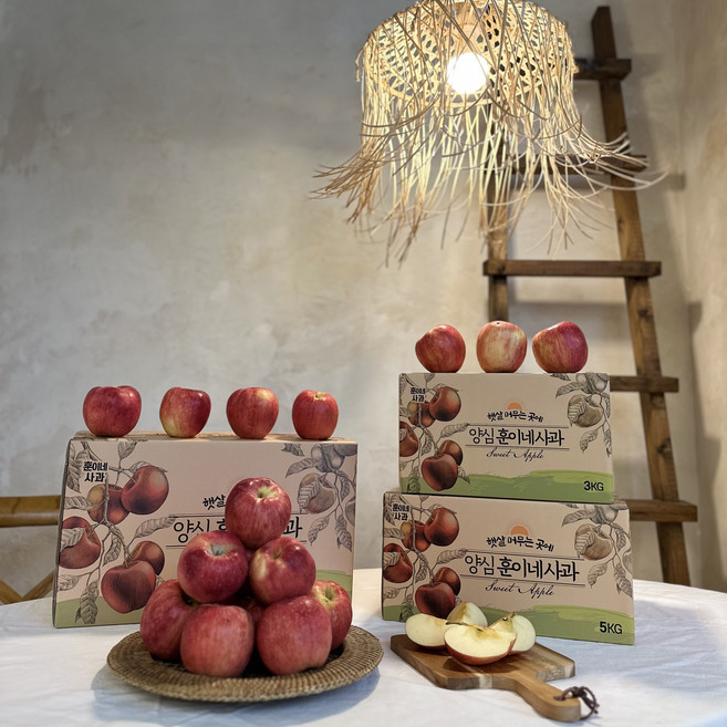 껍질째먹는 훈이네 경북 청송 가정용 선물용 꿀사과, 1.5kg (가정용 혼합), 1개