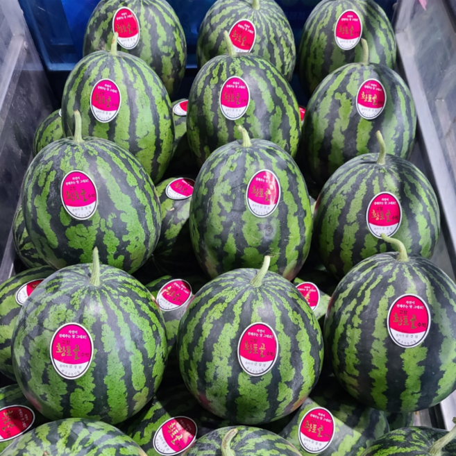 웅이과일 고당도 꿀 수박 당도선별 흑수박, 1개, 수박 5~6kg