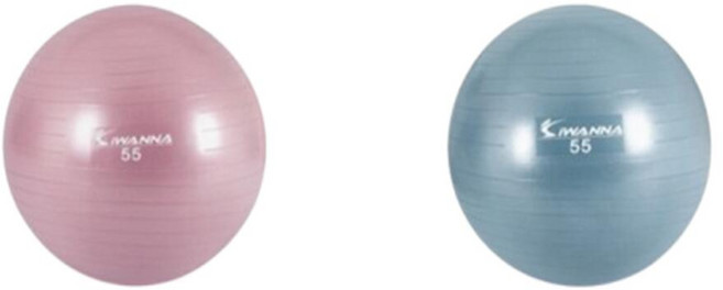 이코리브 안티버스트 스트레칭 짐볼 탱탱볼 55CM 범피타입, 1개