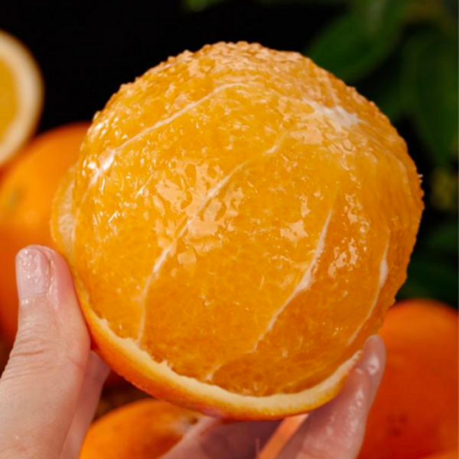 [호텔납품] 호텔다이닝 16bix 프리미엄 카라향, 1개, 5kg (로얄과)