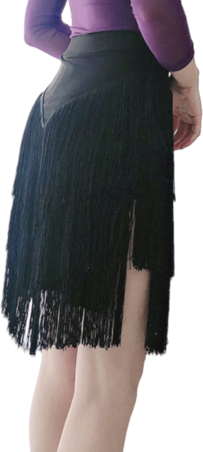 라틴 라인 댄스복 라틴 댄스 스커트연습 의류 여성 성인 스커트 술 스커트 하의 경쟁 댄스 공연 의류, 4XL 검은색, 검은색