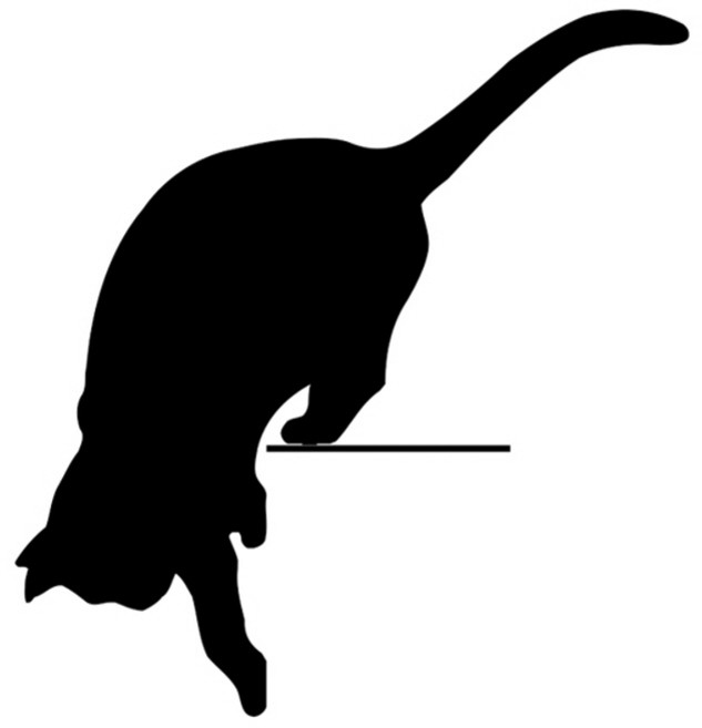 이엠비 고양이 철재 북엔드 책꽂이 지지대, 블랙