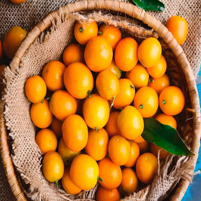 청담농수산 유명농가 정품 제주 낑깡 감귤, 1개, 대 500g