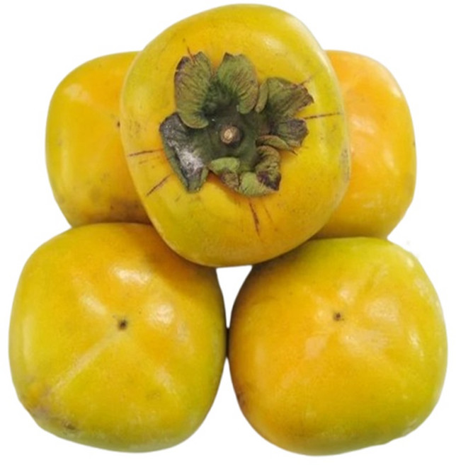 김해진영단감 태추단감 출하시작 제사상 단맛 추석과일, 1개, 못난이 태추단감 / 5kg / 중대과 / 혼합