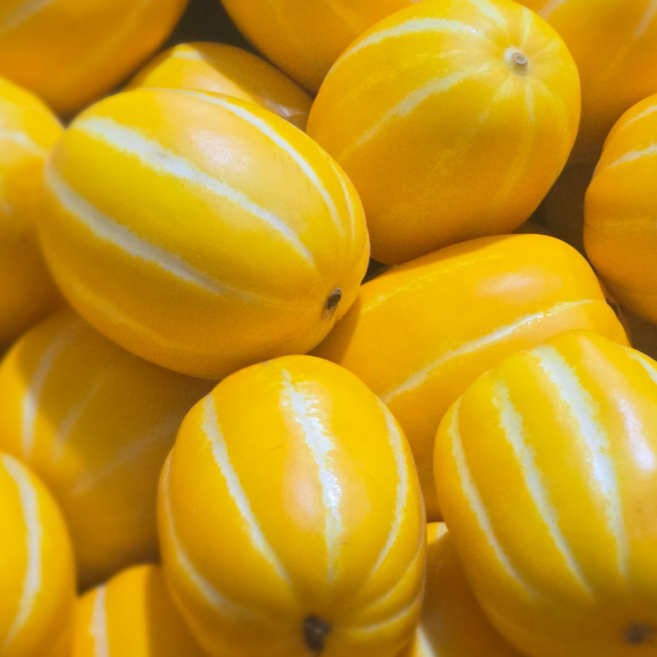 [산지직송] 꿀 성주 참외 국내산 고당도, 1개, 5kg