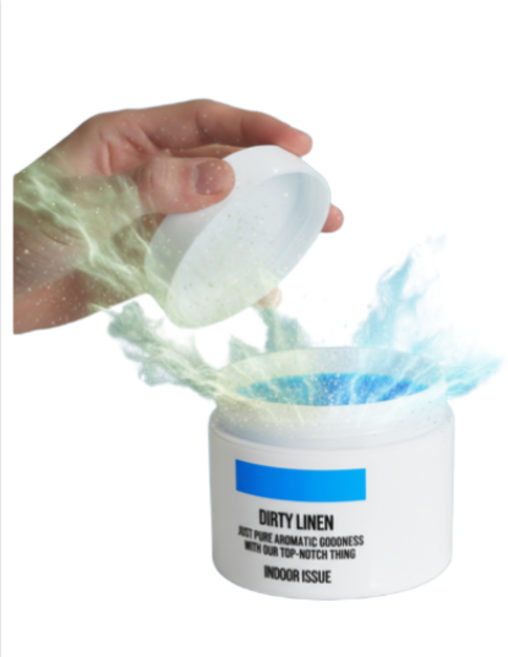 더티린넨 탈취제, 1개, 300g