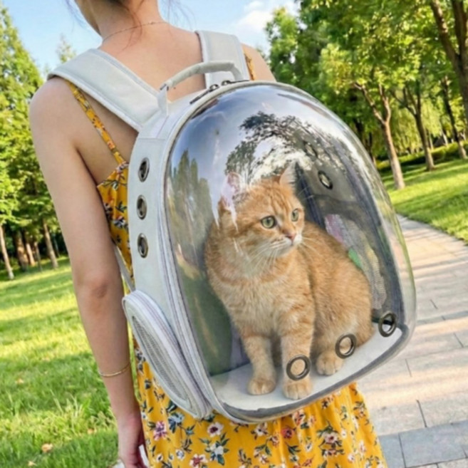 다비온 고양이 우주선 백팩 이동 산책, 1개, 그레이