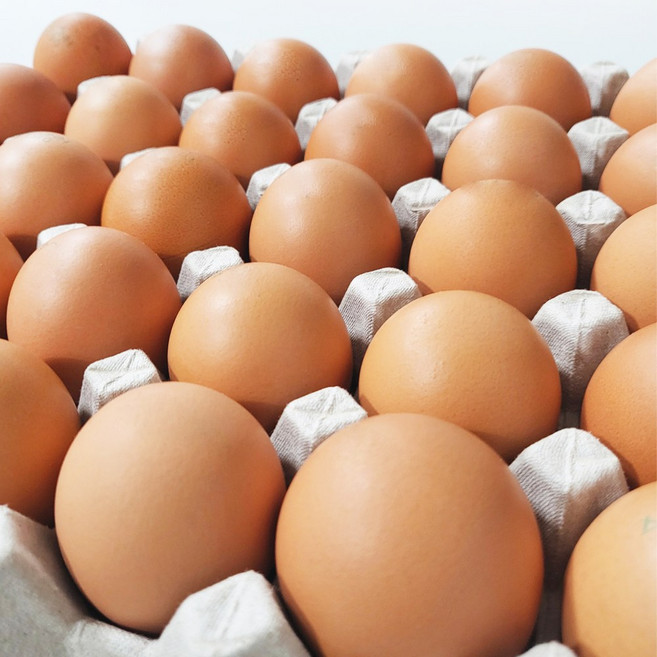 깨끗한농장 특란 식용란 1800g이상 알이큰계란 달걀, 1개, 30구