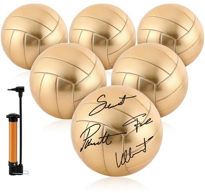 Hiboom 사이즈 5 골드 사인 배구 에어 펌프 포함 트로피 플레이어 어워드 고등학교 대학 기념일 코칭 선물 챔피언십 파티(1개), 1