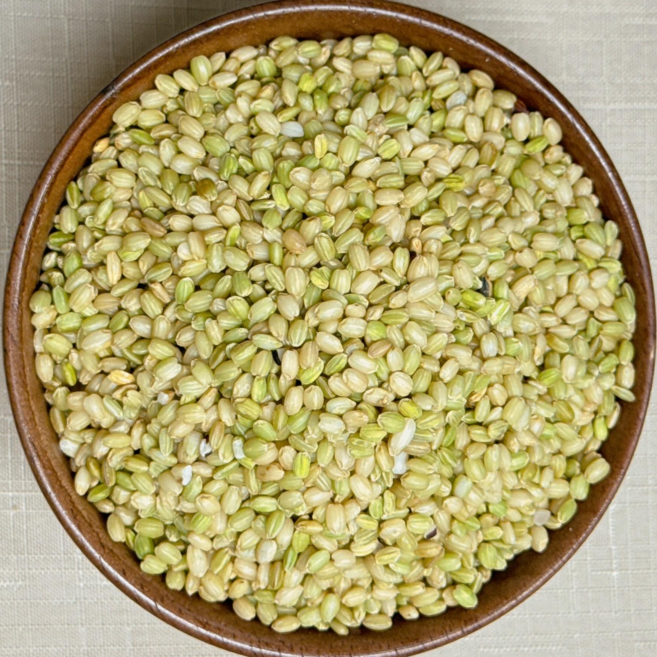 영원농산 25년산 국산 진도 녹미 찰녹미 녹색쌀, 1개, 1kg