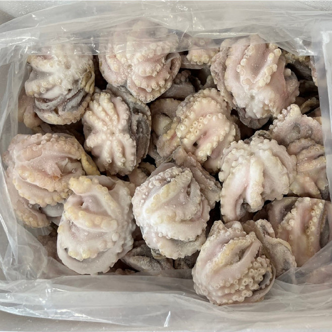 [프리미엄/A급] 대왕 냉동 쭈꾸미 5kg, 1박스, 5kg[200~300g]