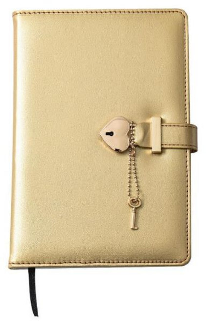 아이레노 비밀 일기장 자물쇠 다이어리 노트북 개인 기록 보호 가능한 잠금형 프라이빗 노트, 골드