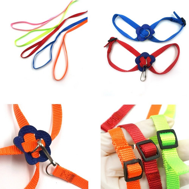 앵무새 목줄 반려조 반려새 리드줄 산책용 새하네스, 1개