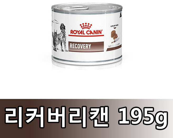 로얄캐닌 DOG＆CAT 리커버리 캔 195gX3개, 3개, 195g