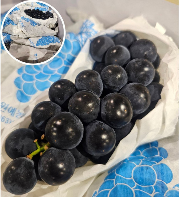 6위 - 유명산지 고당도 캠벨포도 3kg (시즌별 5대 명품산지 엄선) 로얄과, 1박스, 3kg(특 6~8송이)