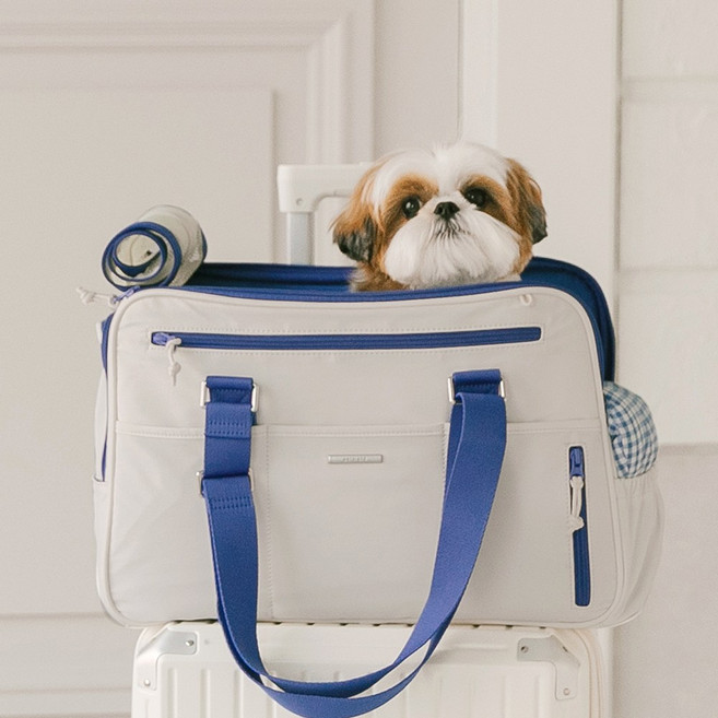 펫츠랜드 모션라인백 반려동물 이동가방 기내반입 캐리어 단품, 로얄블루, 1개