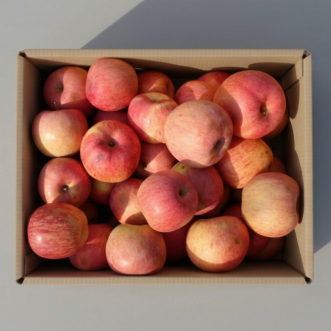 고당도 부사사과 농장직송 가정용 사과, 1개, 5kg (가정용 중과)