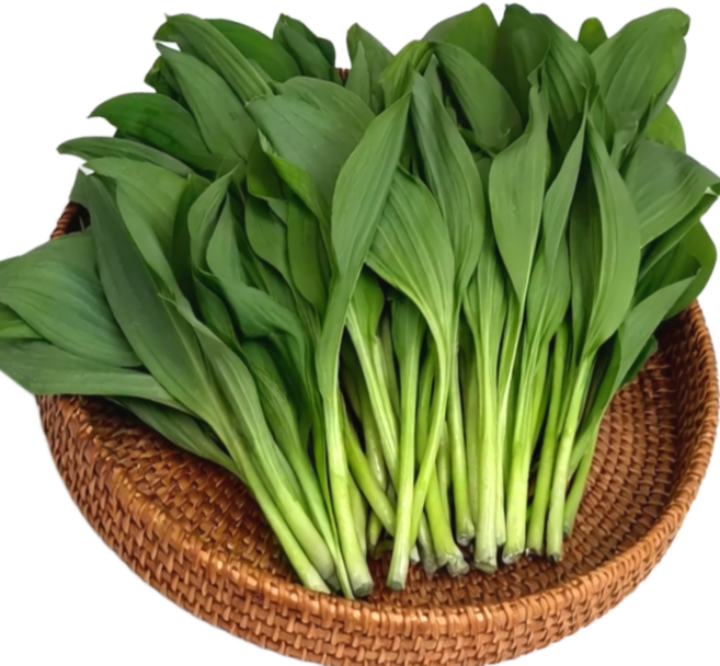 두리마켓 26년 생 명이나물 산마늘 산지 국내산 산나물, 2kg, 1박스