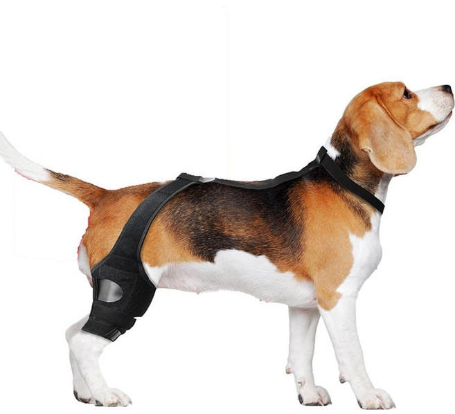 강아지 관절 슬개골 탈구 보호대 다리 깁스 애견 S sho*5988TP