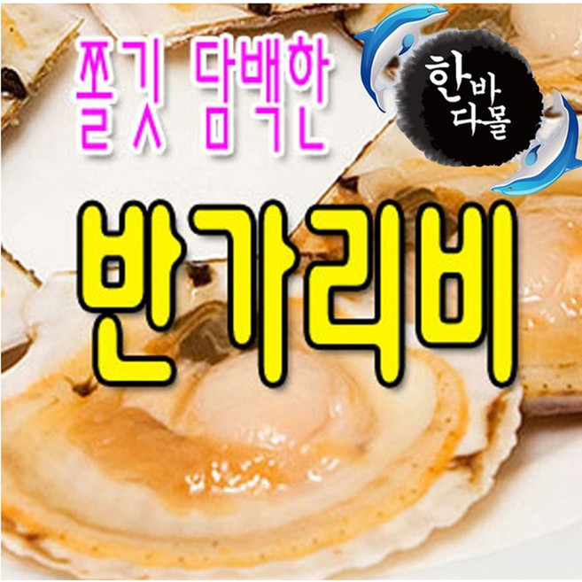 [한바다몰] 반가리비 1box (180g*10개) 7-8미 냉동 하프 가리비 반쪽 가리비, 1박스, 반가리비7-9미(1박스)