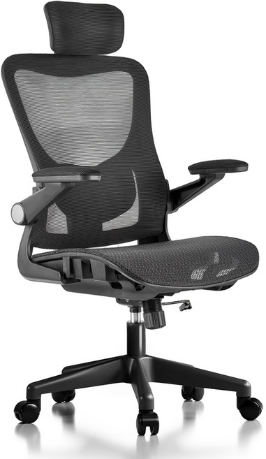 HOMEY NEST 메쉬 사무실 사무용의자 3D팔걸이 틸팅가능 요추 허리보호 체어 HN-OC107, 블랙