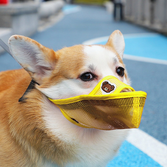 애견 원버튼 메쉬 입마개, M, 1개, 곰 옐로우