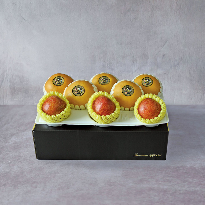 과일선물세트 나주배/사과 혼합과일세트, 사과배 혼합세트 4kg (배5과+사과3과), 1박스