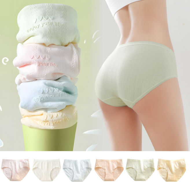 BDYP 주니어 면스판 팬티 6종세트 여학생 순면안감 요일팬티