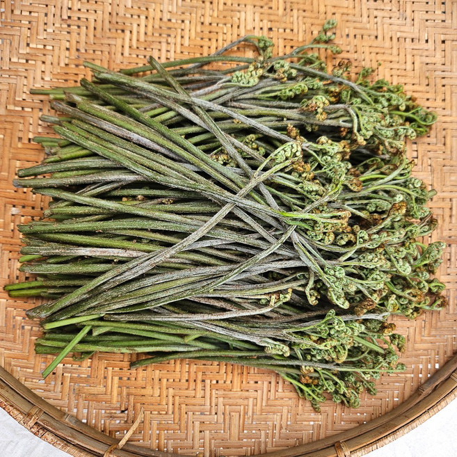 국내산 생 고사리 당일수확발송, 1개, 1kg