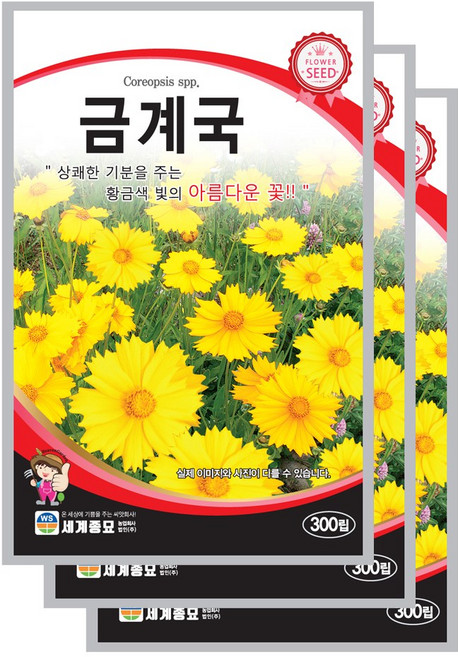 금계국 300립 꽃씨앗 꽃씨 세계종묘 모칸도, 3개
