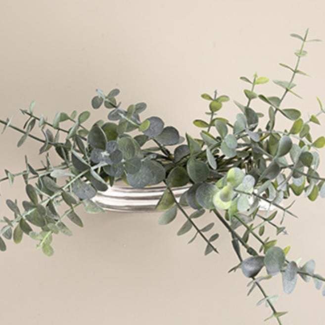 그리너리커튼집게 30cm 조화 인테리어, 유칼립, 3개