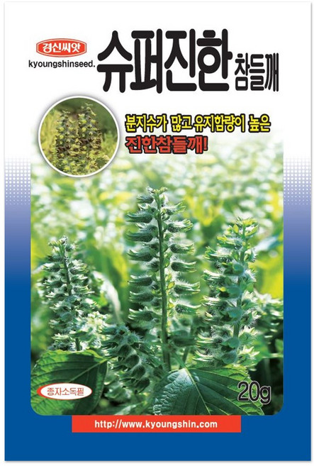 경신종묘 들깨씨앗 슈퍼진한참들깨 20g, 1개