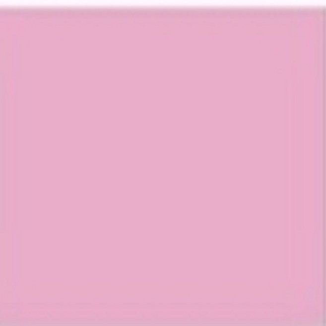 팬톤페인트 실내용 반광 1L 친환경프리미엄수성페인트, 14-2710, 1개