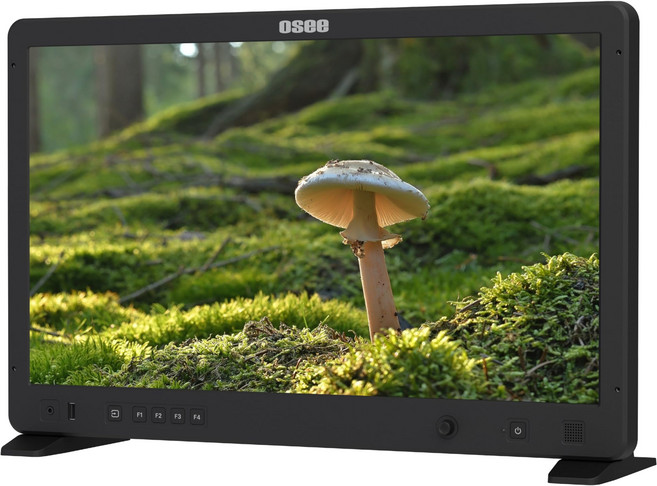 OSEE 메가 22S 21.5인치 3G-SDI 1500니트 고휘도 영화 및 텔레비전 감독 모니터링 스튜디오 HD 촬영 모니터, 01 Mega 22S, 1개