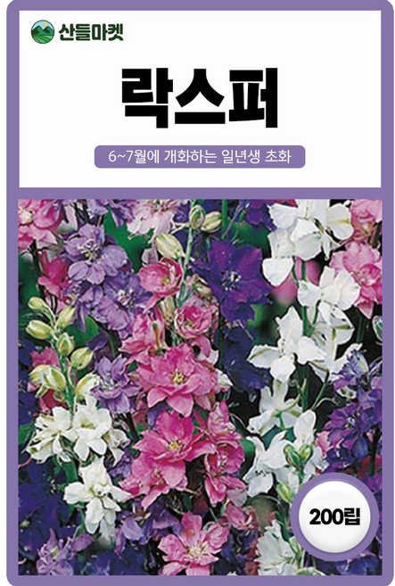 산들마켓 락스퍼 씨앗 200립 락스퍼 일년생 꽃씨 종자, 1개