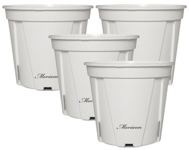 모리앤 에코 슬릿화분, 화이트, 4개