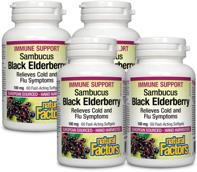 내추럴팩터스 블랙엘더베리 표준 추출물 100mg 60정 (4개 8-4개월분), 4개 - 쿠팡