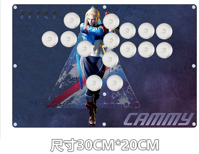 빅트릭스 TURTLE BEACH KO VICTRIX 게이밍, 메이플라워 카미, 1개