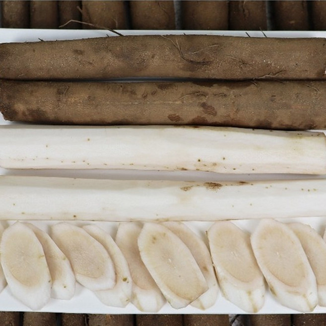 산지직송 국내산 안동 생우엉 햇 우엉 기획상품(2kg+2kg), 1박스, 2kg+2kg