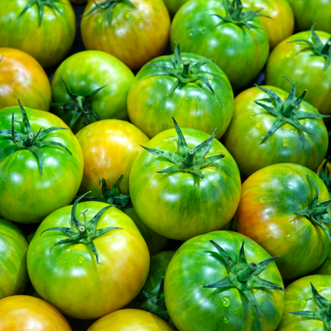 따자마자 보내주는 부산 대저토마토 최상급원물 신선보장, 1박스, 정품 2.5kg(M~L)